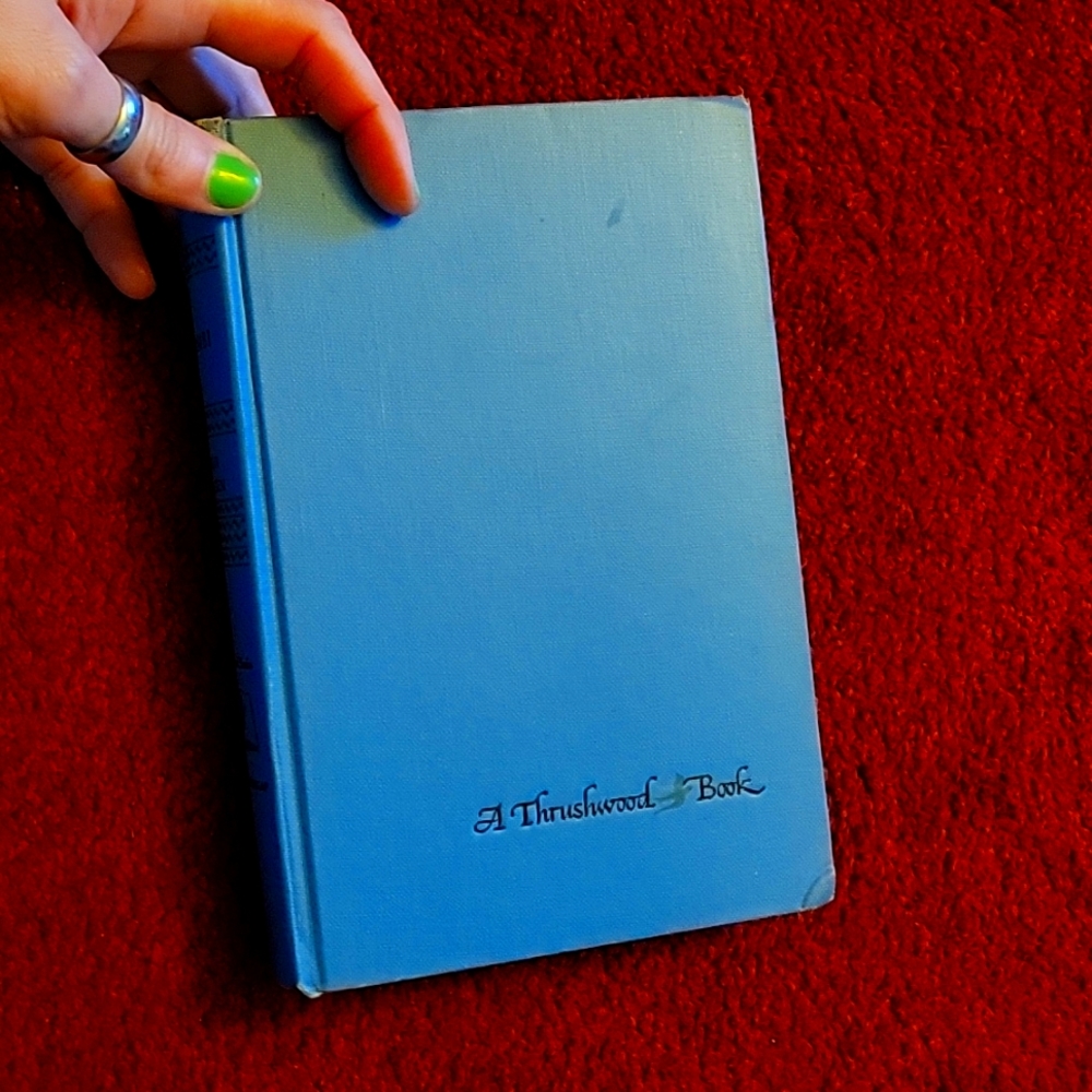 Bambi novel